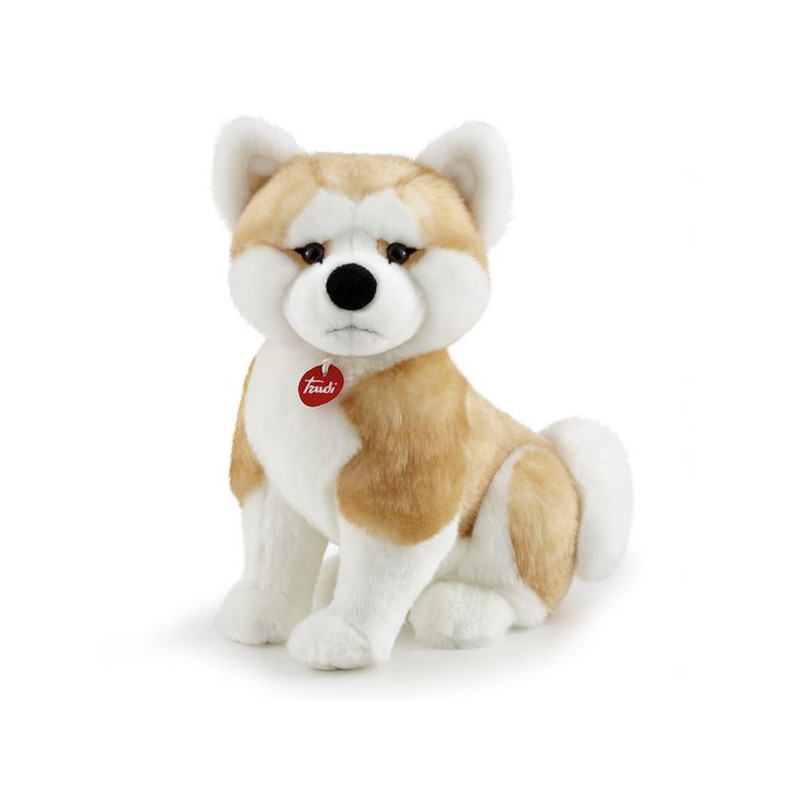 Imagen akita ascanio talla l 20x36x31cm