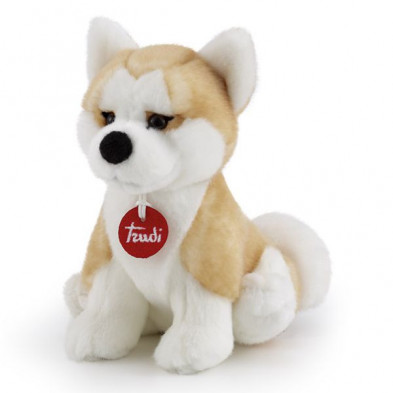 Imagen akita ascanio talla s 16x21x19cm