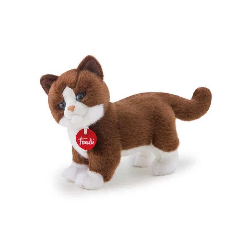 Imagen gato gildo talla s 12x21x30cm