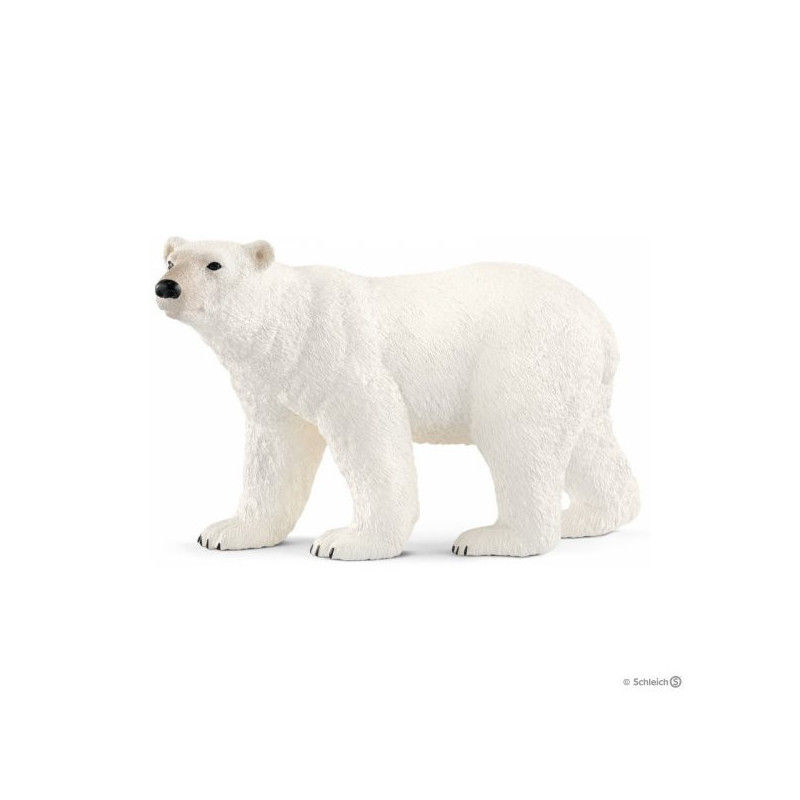 Imagen oso polar