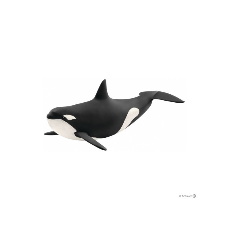 Imagen orca