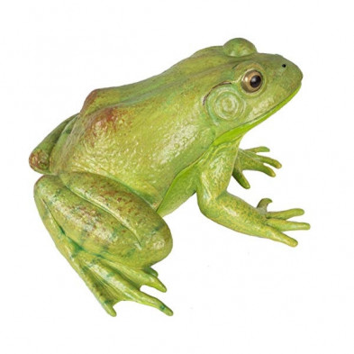 Imagen rana buey 12cm Imagen rana buey 12cm