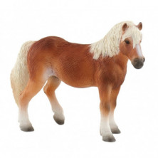 Imagen yegua haflinger 13