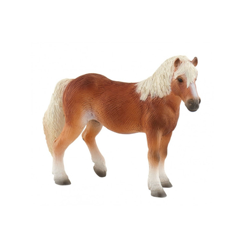Imagen yegua haflinger 13