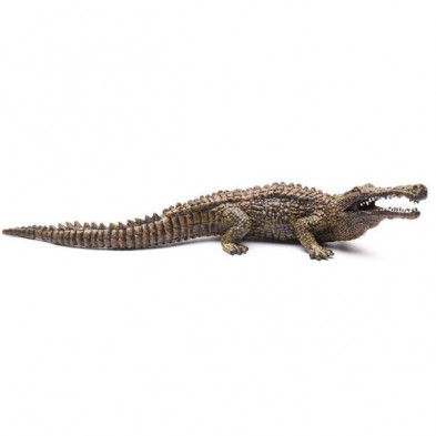 Imagen sarcosuchus 18