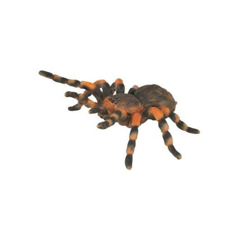 Imagen tarantula de anillos rojos 8x3