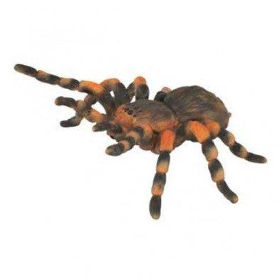 Imagen tarantula de anillos rojos 8x3