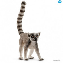 Imagen lemur de cola anillada