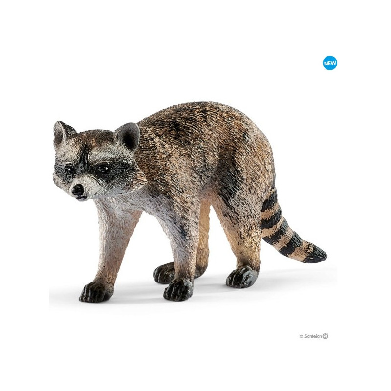 Imagen mapache