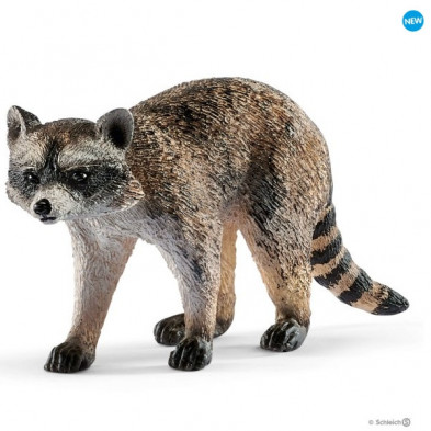 Imagen mapache Imagen mapache
