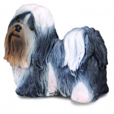 Imagen shih tzu