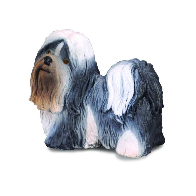 Imagen shih tzu