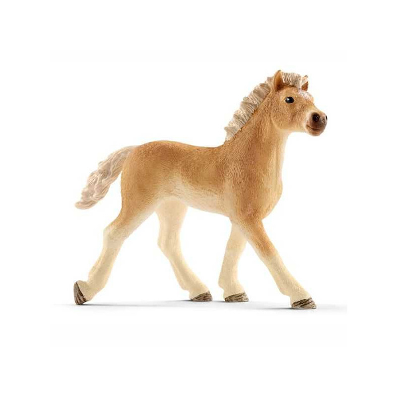 Imagen potro haflinger