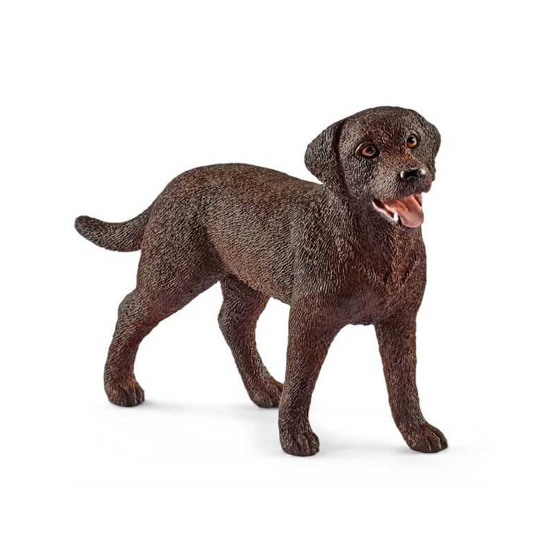 Imagen labrador retriver hembra 7