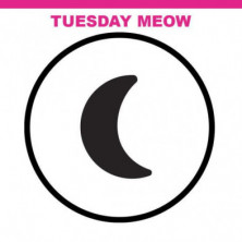 imagen 3 de muñeca na! na! na! surprise tuesday meow