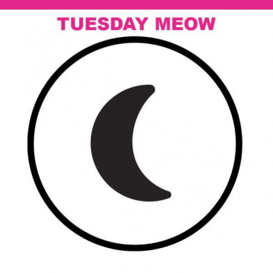 imagen 3 de muñeca na! na! na! surprise tuesday meow