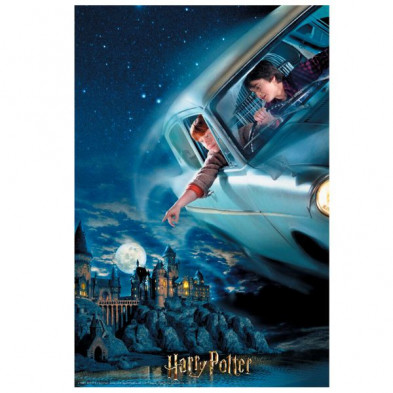 imagen 1 de puzzle libro lenticular harry potter y ron  300 pz