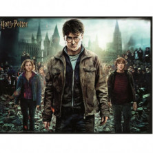 imagen 1 de puzzle lenticular harry hermione y ron 300pz