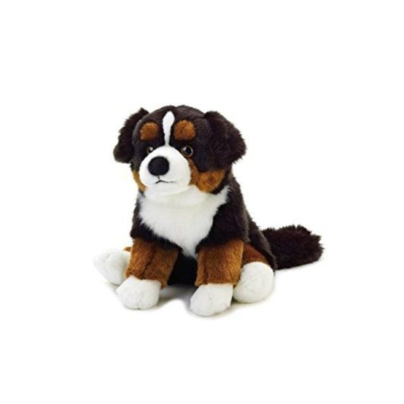 Imagen perro sansone bernese seduto piccolo 25cm