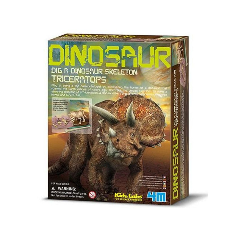 Imagen kidz paleontología esqueleto triceratops