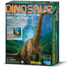 Imagen kidz paleontología esqueleto brachiosaurus