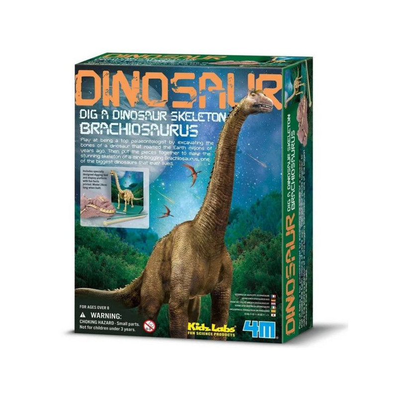 Imagen kidz paleontología esqueleto brachiosaurus