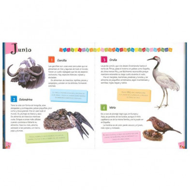 imagen 1 de libro 365 curiosidades de animales