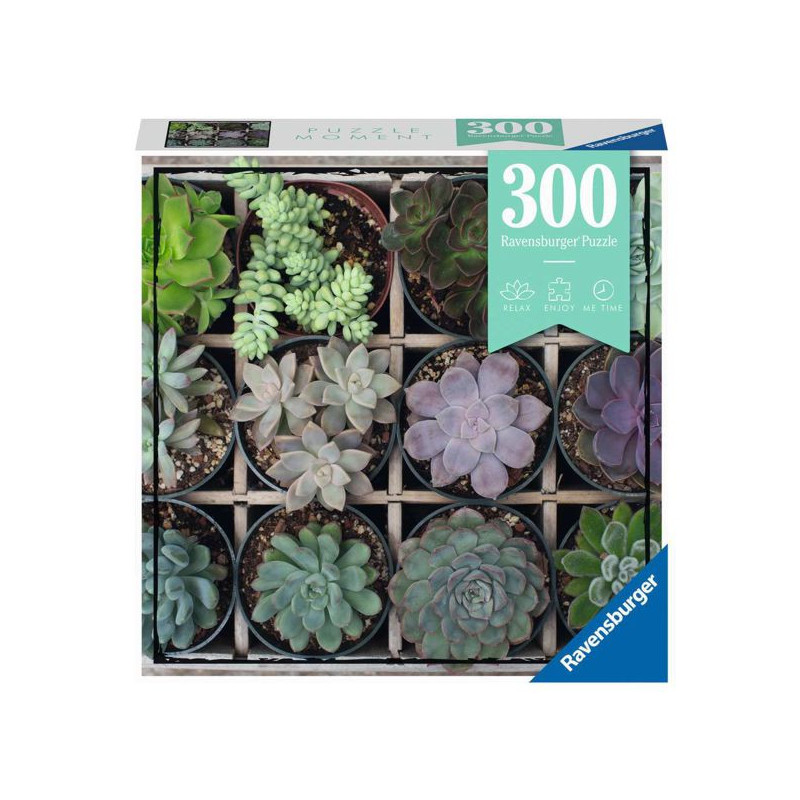 Imagen puzzle moments green 300 piezas