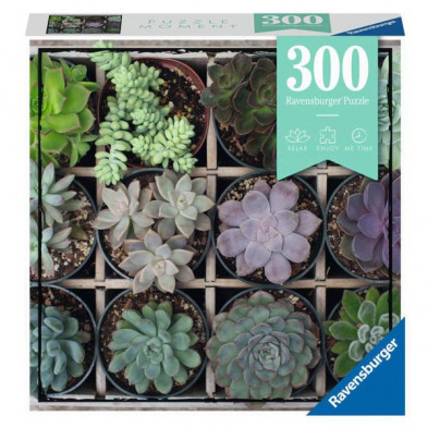 Imagen puzzle moments green 300 piezas