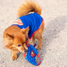 imagen 4 de cuerda dental para perro superman