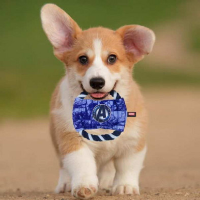 imagen 6 de cuerda dental para perro avengers marvel imagen 6 de cuerda dental para perro avengers marvel