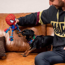 imagen 5 de cuerda dental para perro spiderman marvel