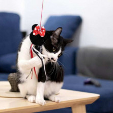 imagen 3 de varita para gato minnie mouse