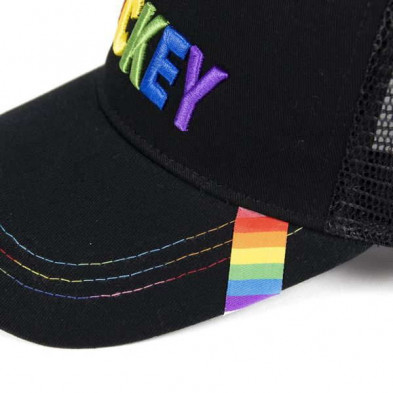 imagen 3 de gorra premium disney pride