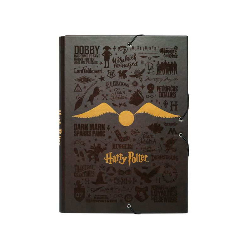 Imagen carpeta solapas harry potter