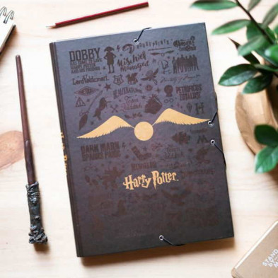 imagen 3 de carpeta solapas harry potter