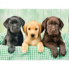 imagen 1 de puzzle clementoni tres labradores 1000 piezas