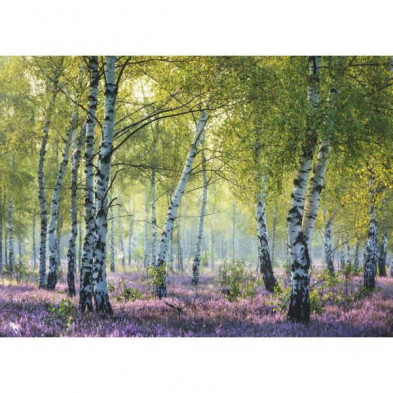 imagen 1 de puzzle ravensburger bosque de abedules 1000 piezas