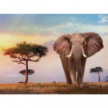 imagen 1 de puzzle clementoni hqc african sunset 500 piezas