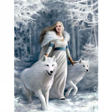 imagen 1 de puzle anne stokes winter guardians 1000 piezas