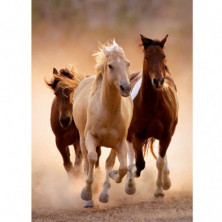 imagen 1 de puzle clementoni caballos corriendo 1000 piezas