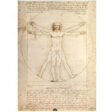 imagen 1 de puzle da vinci el hombre de vitruvio 1000 piezas