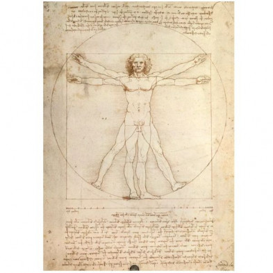 imagen 1 de puzle da vinci el hombre de vitruvio 1000 piezas