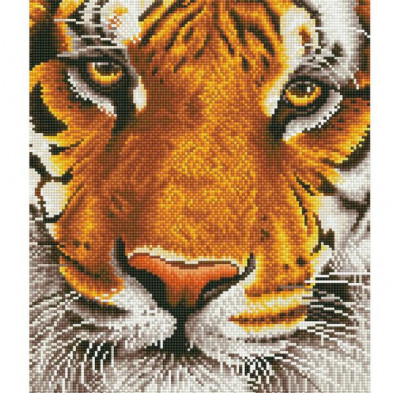 Imagen cuadro bengal magic - pintura con diamantes