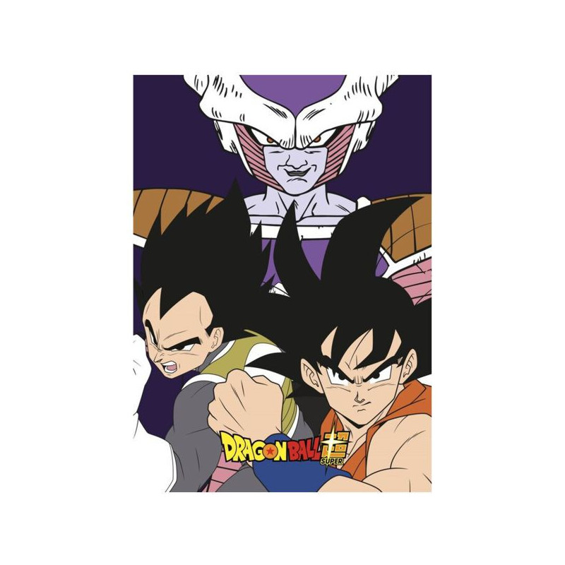 Imagen manta dragon ball