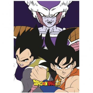 Imagen manta dragon ball