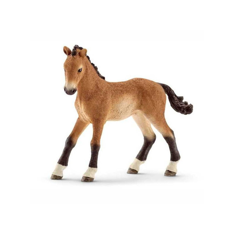 Imagen potro tennessee walker 8