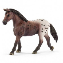 Imagen yegua appaloosa