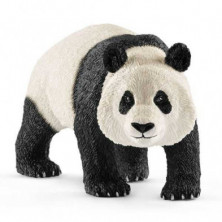 Imagen oso panda gigante macho