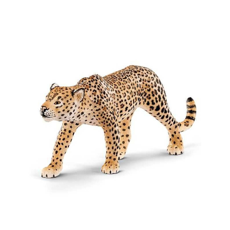 Imagen leopardo